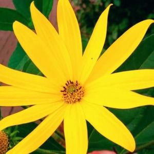 Meet your Posher, Katina